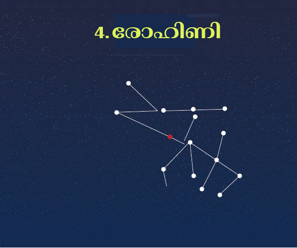  4.രോഹിണി നക്ഷത്രം: ചന്ദ്രന്റെ പ്രിയങ്കരി, സർഗ്ഗാത്മകതയുടെ തിളക്കം!