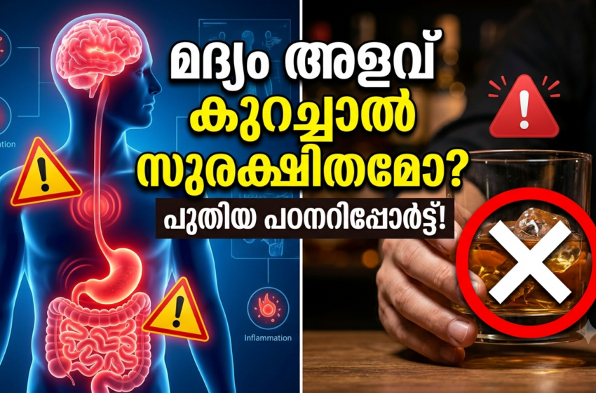  മദ്യം വില്ലനാകുന്നു: കാൻസറും മസ്തിഷ്കാഘാതവും അകാലമരണവും കാത്തിരിക്കുന്നതായി പുതിയ പഠനങ്ങൾ
