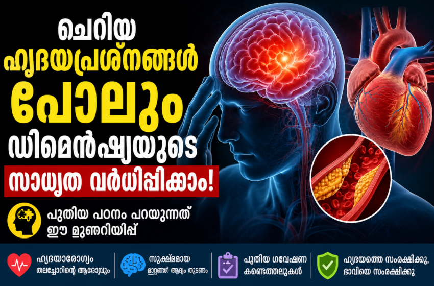 ചെറിയ ഹൃദയപ്രശ്നങ്ങൾ പോലും ഡിമെൻഷ്യയുടെ സാധ്യത വർധിപ്പിക്കാം; പുതിയ പഠനം മുന്നറിയിപ്പ് നൽകുന്നു