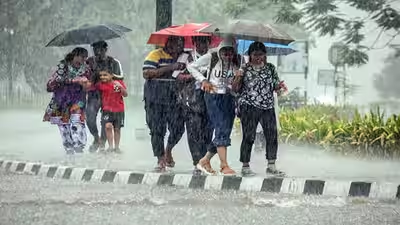  കേരളത്തിൽ ശക്തമായ മഴ: 7 ജില്ലകളിലെ വിദ്യാഭ്യാസ സ്ഥാപനങ്ങൾക്ക് നാളെ അവധി