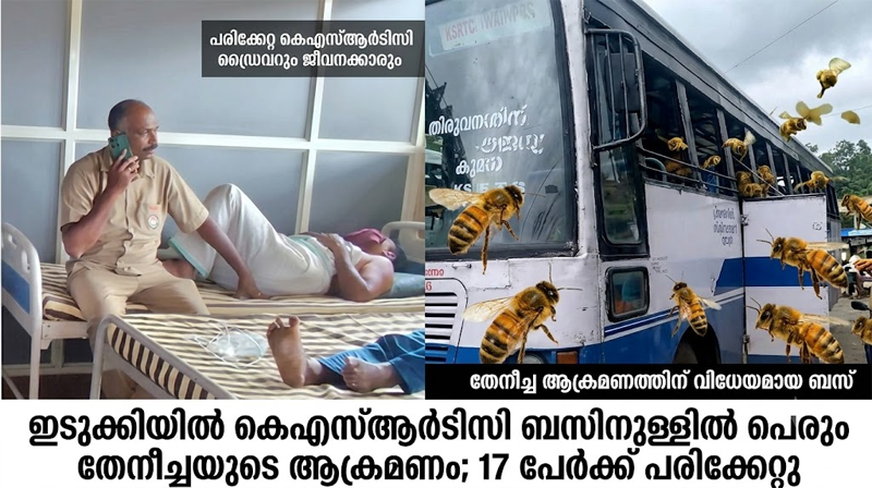  ഗവി-കുമളി ബസിലെ തേനീച്ച ആക്രമണം: ഭീതി വിട്ടൊഴിയാതെ യാത്രക്കാരും ജീവനക്കാരും; വനപാതകളിൽ സുരക്ഷാ ആശങ്ക ശക്തം